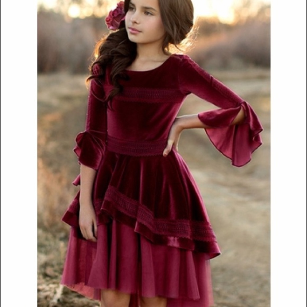 Mia joy maroon velvet holiday/Christmas dress